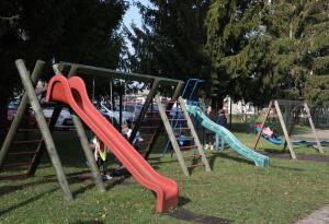 rotnaosroje (4)